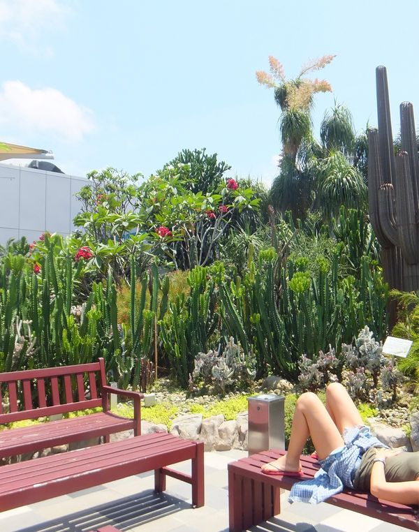 インドネシア・バリ「ニュピと2度目のギリ」の写真：チャンギ国際空港トランジット、チャンギの...