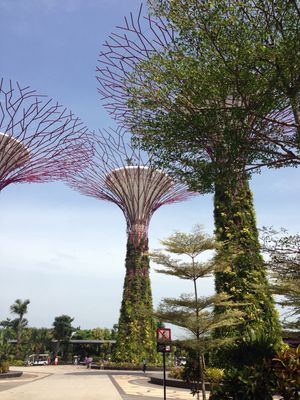 数時間でも一通り回れた
植物園って楽しい