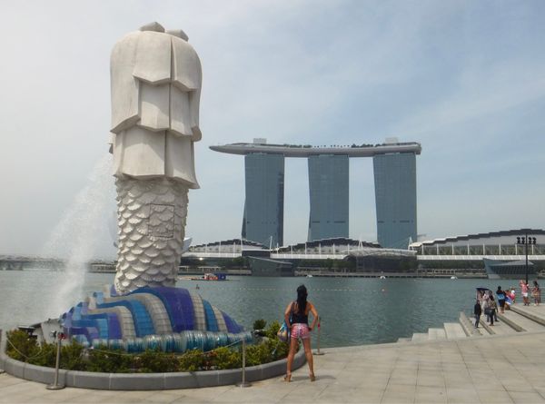 シンガポール・シンガポール「初シンガポール」の写真：数時間でも一通り回れた
植物園って楽しい