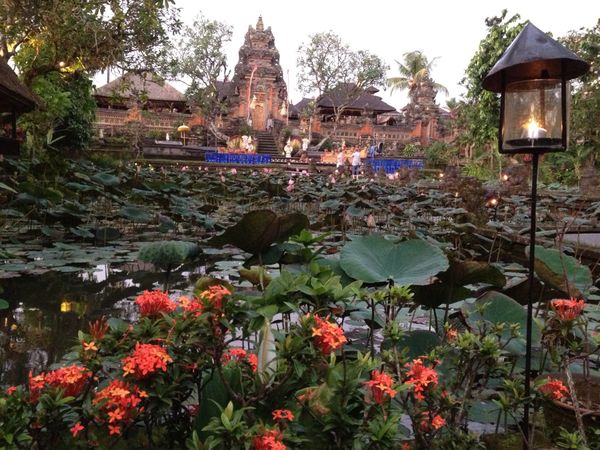 インドネシア・バリ「記念旅行」の写真：ウブド散策、ロータスカフェでのんびりして...