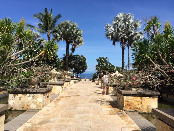 インドネシア・バリ「格安ビジネスクラス」の写真：翌日は良い天気アヤナの庭内散歩して
敷地...