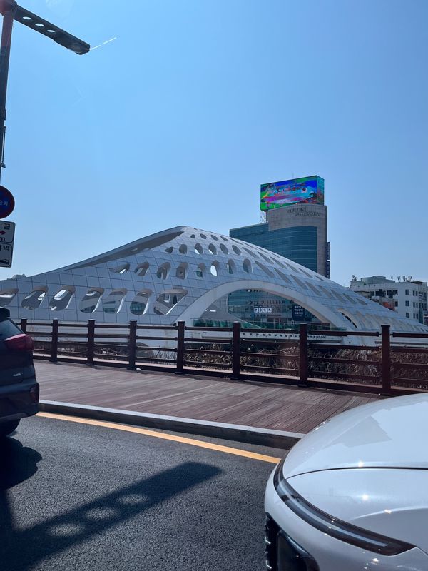 大韓民国 (韓国)・大田「韓国大田」の写真