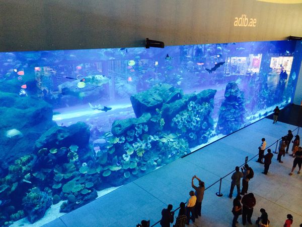 アラブ首長国連邦・ドバイ「初ドバイ」の写真：何処に行ってもエアコンがキツくて
数日ホ...