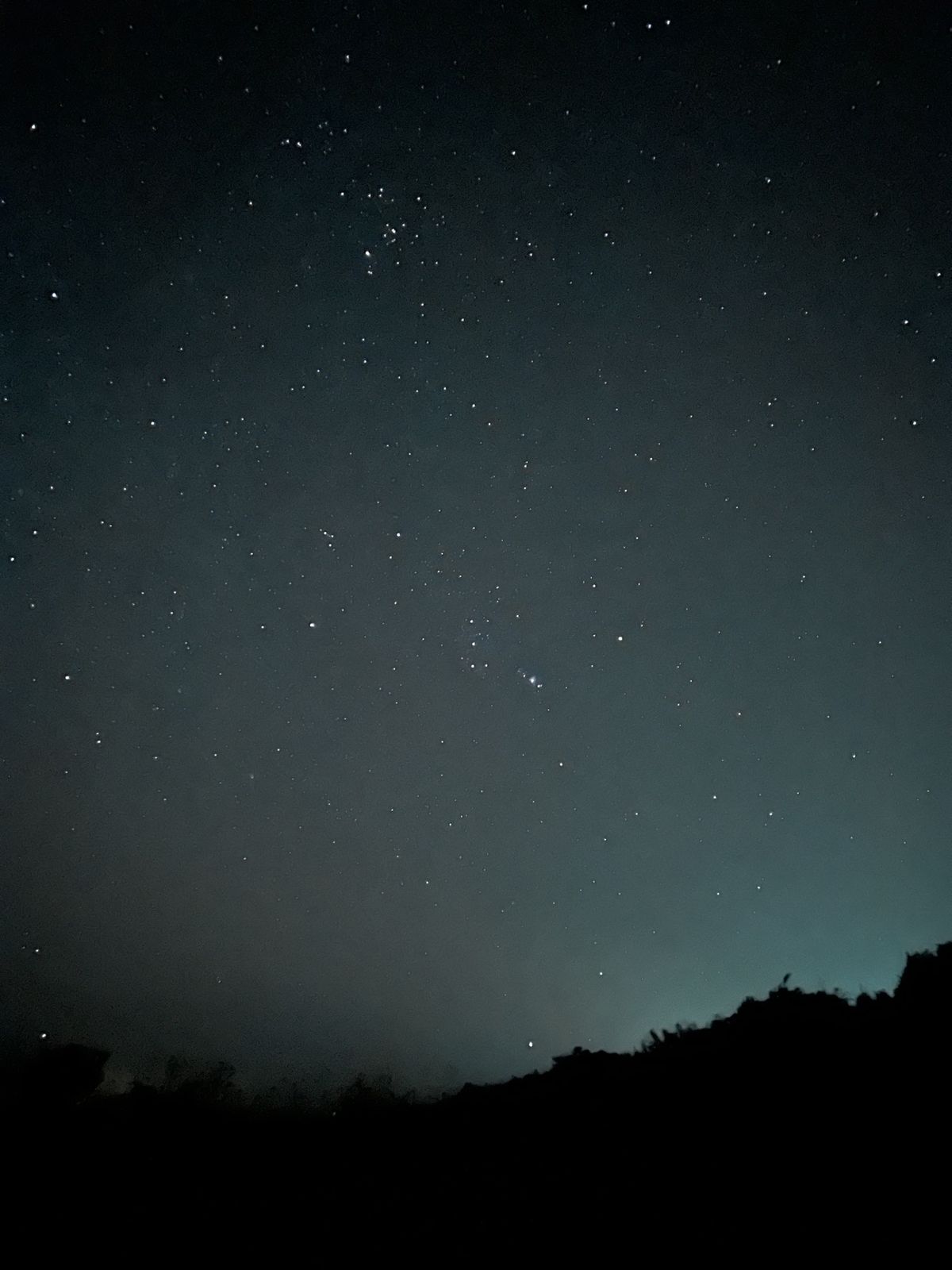 再び宮之浦のキャンプ場に戻る
この旅で何度作ったかわからない手羽元の水炊き...