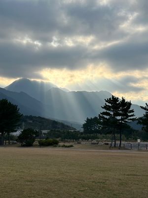 朝7時に船降ろされてもメシすら喰えない(￣▽￣;)
屋久島にはコンビニ無い...