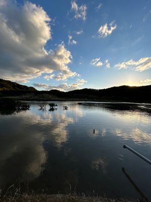 西之表市から海沿いに歩いて中種子町を目指す
5kmほど歩いたところでクルマ...