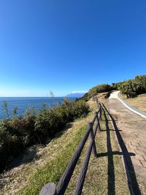 種子島に鉄砲が伝わった最初の上陸地、門倉岬
歩いて行くにはちと遠かった笑
...