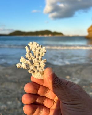 事前予約が出来ずに途方に暮れていたところ、地元の方に教えていただいた穴場ス...