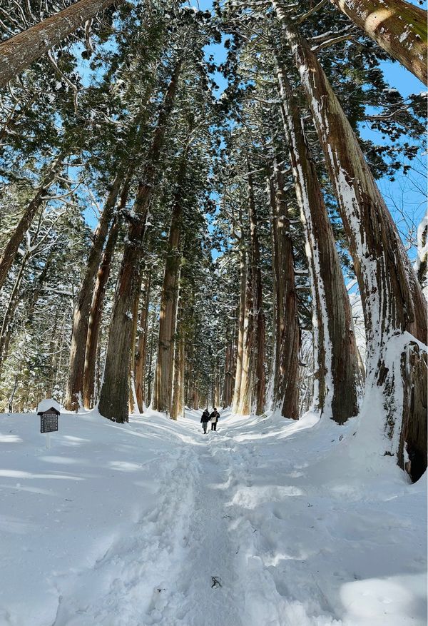 日本・長野県「新潟、長野旅行」の写真