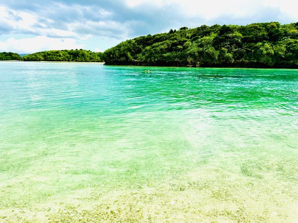 日本・沖縄県「石垣島ダイビング旅行」の写真：海が綺麗すぎる