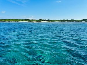 海がな、綺麗すぎるんじゃよ･･･