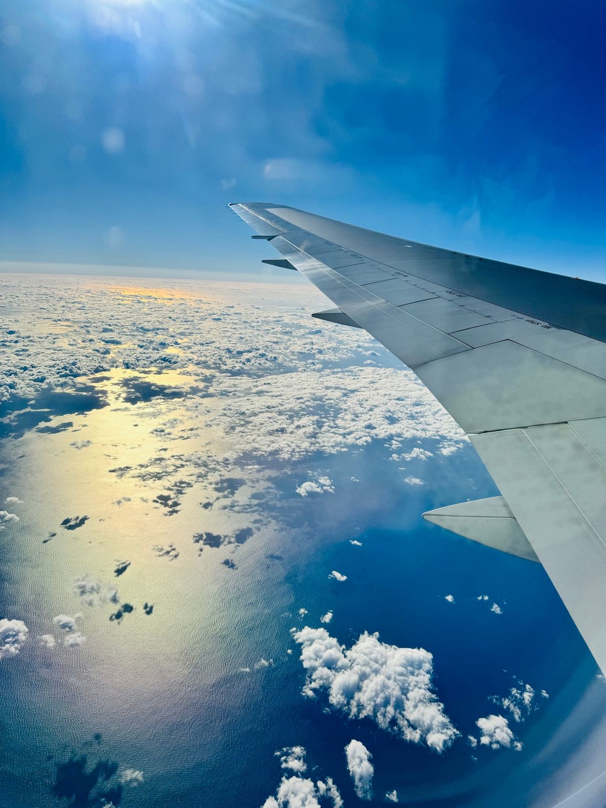 ワクワクしかない😍