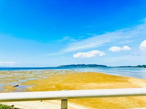 海が綺麗すぎる