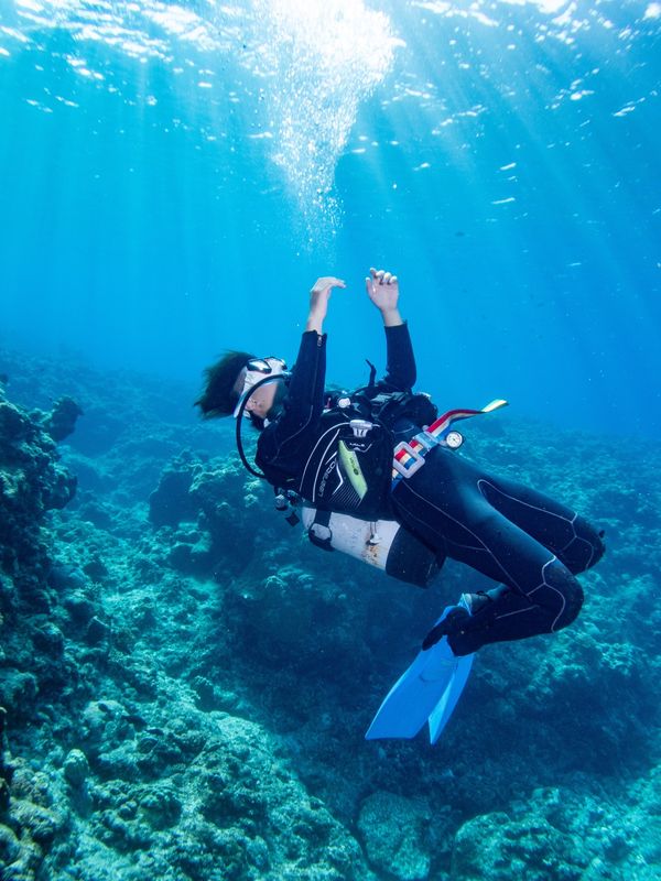 日本・沖縄県「石垣島ダイビング旅行」の写真：子供達のダイビング