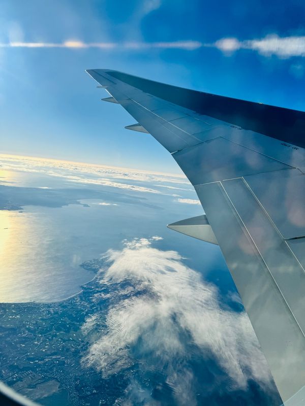 日本・沖縄県「石垣島ダイビング旅行」の写真：ワクワクしかない😍