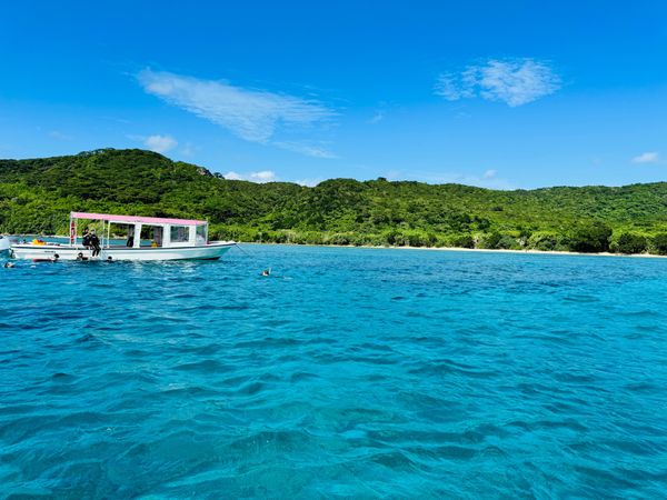 日本・沖縄県「石垣島ダイビング旅行」の写真：海中は少し白かったけれど、とても綺麗な海...