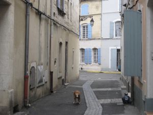 アルルでは円形闘技場や街中散策。ゴッホ縁の地を歩きました。どこを歩いても本...