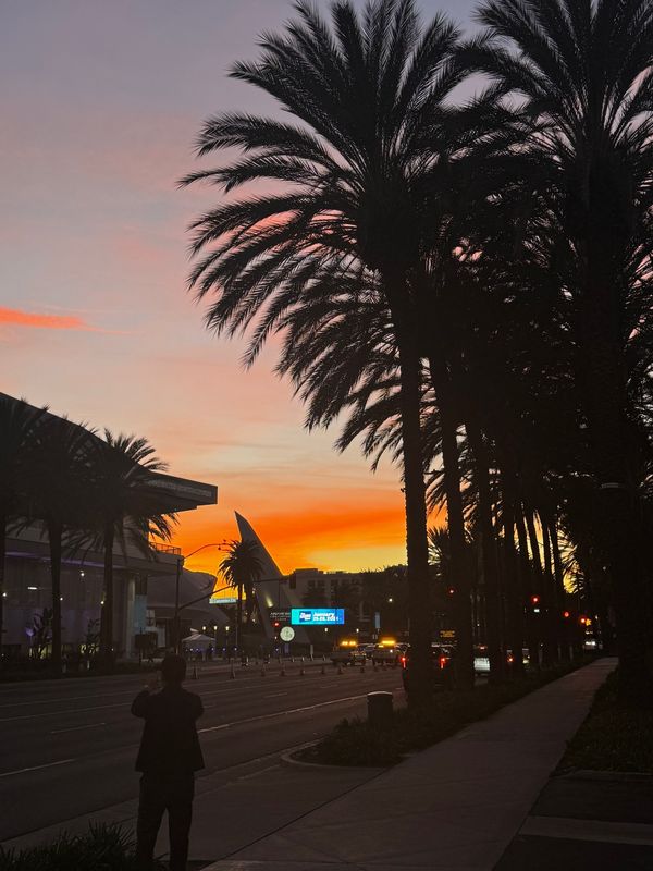 アメリカ(米国)・ロサンゼルス「NAMM SHOW (海外出張)」の写真