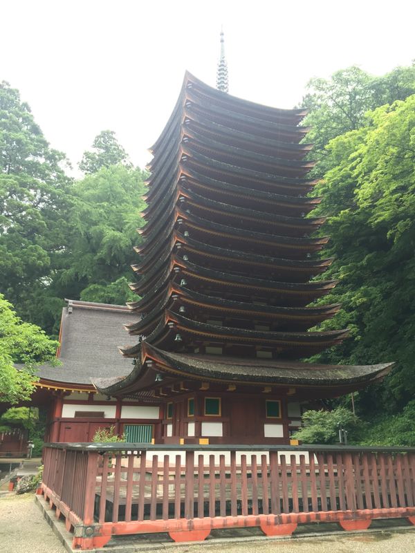 日本・京都府「奈良、大阪の旅」の写真