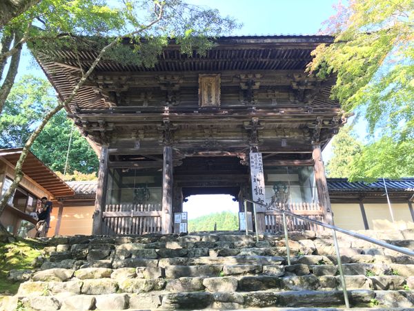 日本・京都府「京都、奈良の旅」の写真