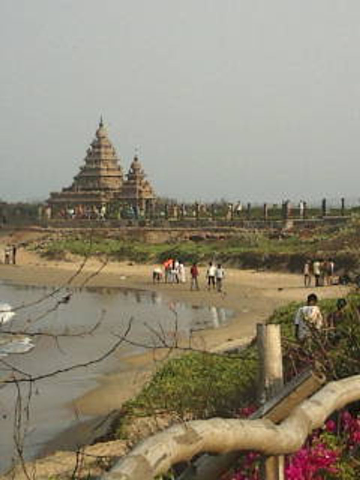 インド南東部の町、マハーバリプラムに向かう途中、バスがパンクした。
乗客は...