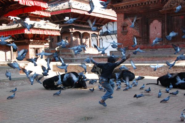 ネパール・カトマンズ　ポカラ　チトワン　ゴルカ「ネパール」の写真