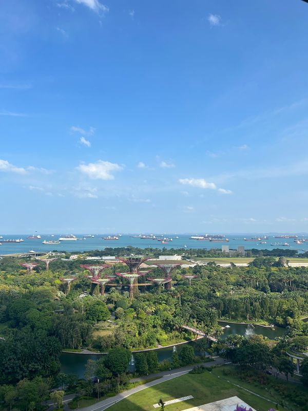 シンガポール・シンガポール「シンガポール」の写真