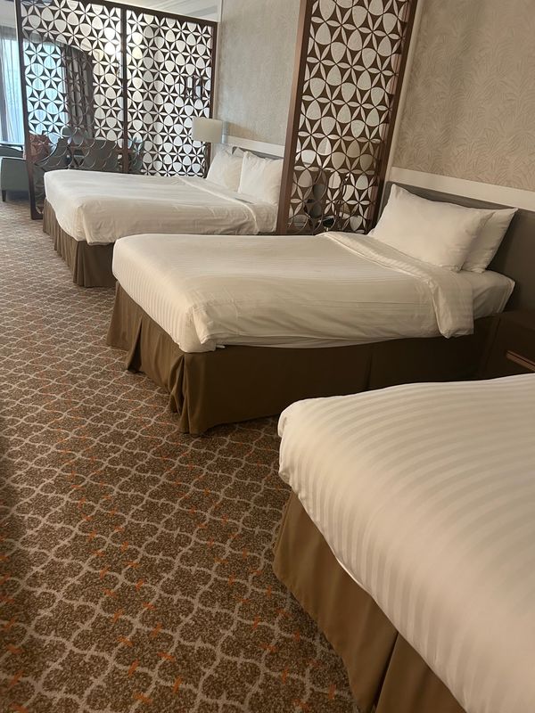 シンガポール・シンガポール「シンガポール」の写真