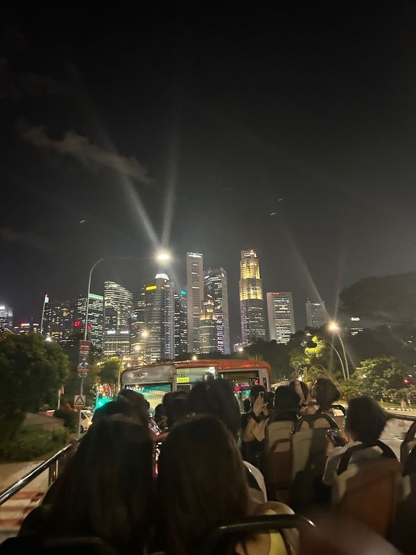 シンガポール・シンガポール「シンガポール」の写真