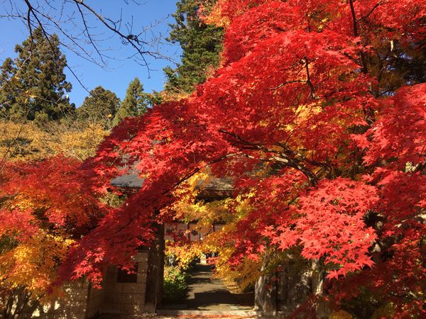 日本・福島県「福島の旅」の写真