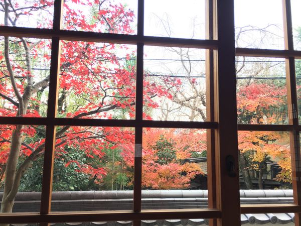 日本・京都府「京都、滋賀、兵庫の旅」の写真