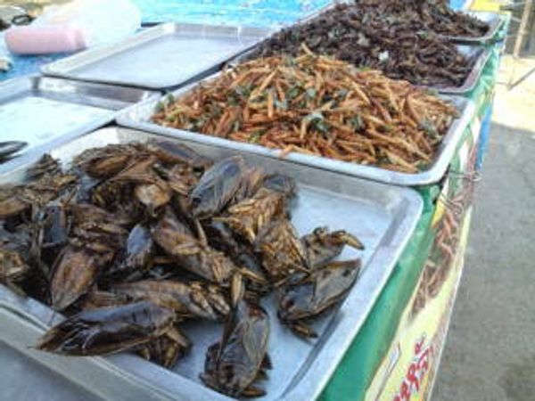 タイ・バンコク「タイ買付&カンチャナブリーの旅」の写真：バンコクでの買付の合間にカンチャナブリに...