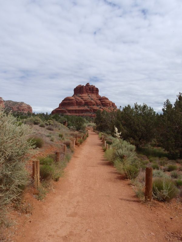 アメリカ(米国)・ロサンゼルス「アメリカ・メキシコ・キューバの旅」の写真：ロサンゼルス経由でフェニックスへ。レンタ...