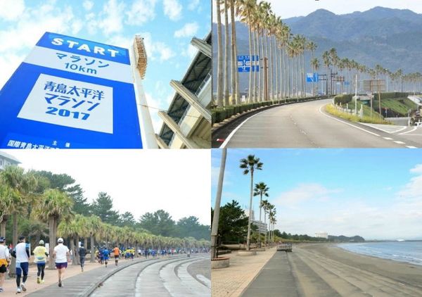日本・宮崎県「宮崎 青島太平洋マラソン」の写真:かーちゃんと旅RUN。宮崎で32都道府県...