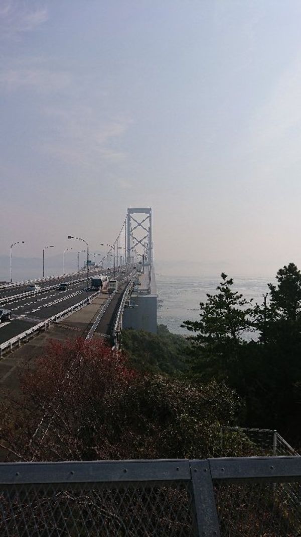 日本・徳島県「徳島　徳島マラソン」の写真