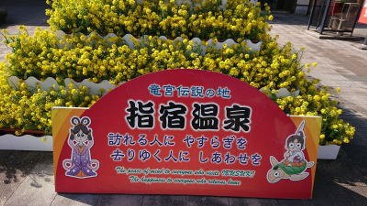 １月１２日、鹿児島県指宿で開催された第３９回いぶすき菜の花マラソンに参加し...