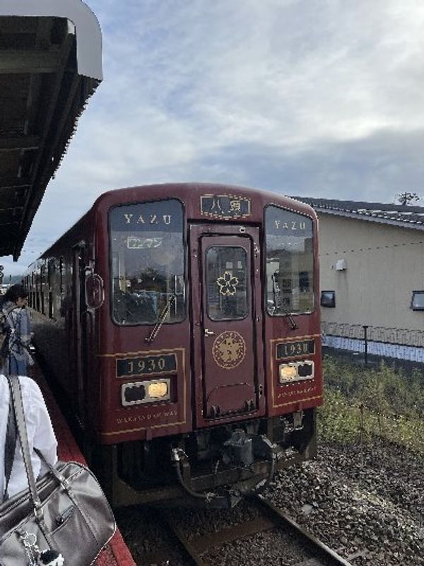 日本・鳥取県「鳥取　森下広一杯ハーフマラソン」の写真