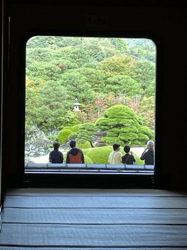 日本・鳥取県「鳥取　森下広一杯ハーフマラソン」の写真