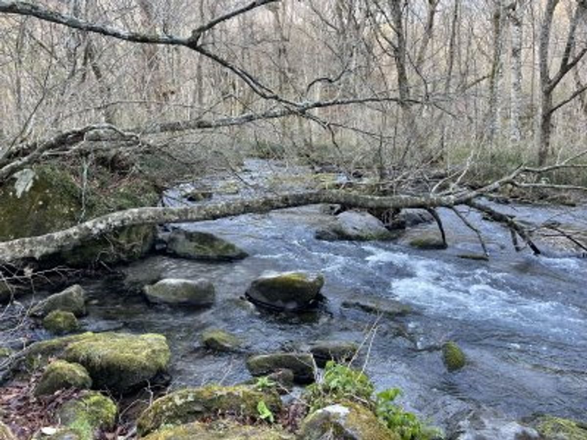 マラソン国盗り４４都道府県目となる青森へ旅ＲＵＮしてきました。

４月１６...