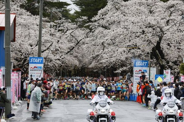 日本・青森県「青森　あおもり桜マラソン」の写真