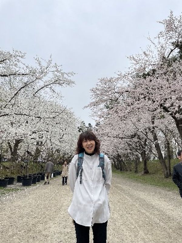 日本・青森県「青森　あおもり桜マラソン」の写真