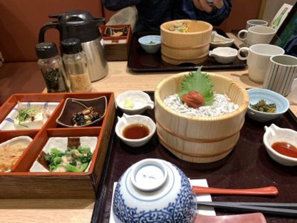 日本・広島県「広島 福山ハーフマラソン」の写真