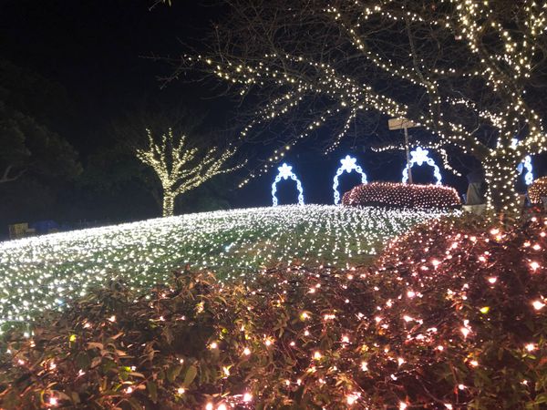 日本・神奈川県「江ノ島♡2019」の写真