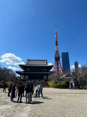 増上寺からの東京タワー。新旧コラボ？なんとも言えない不思議な景色だけど素晴...