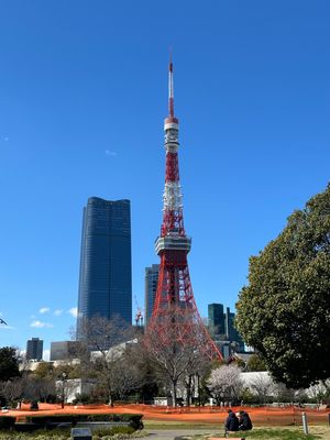 増上寺からの東京タワー。新旧コラボ？なんとも言えない不思議な景色だけど素晴...