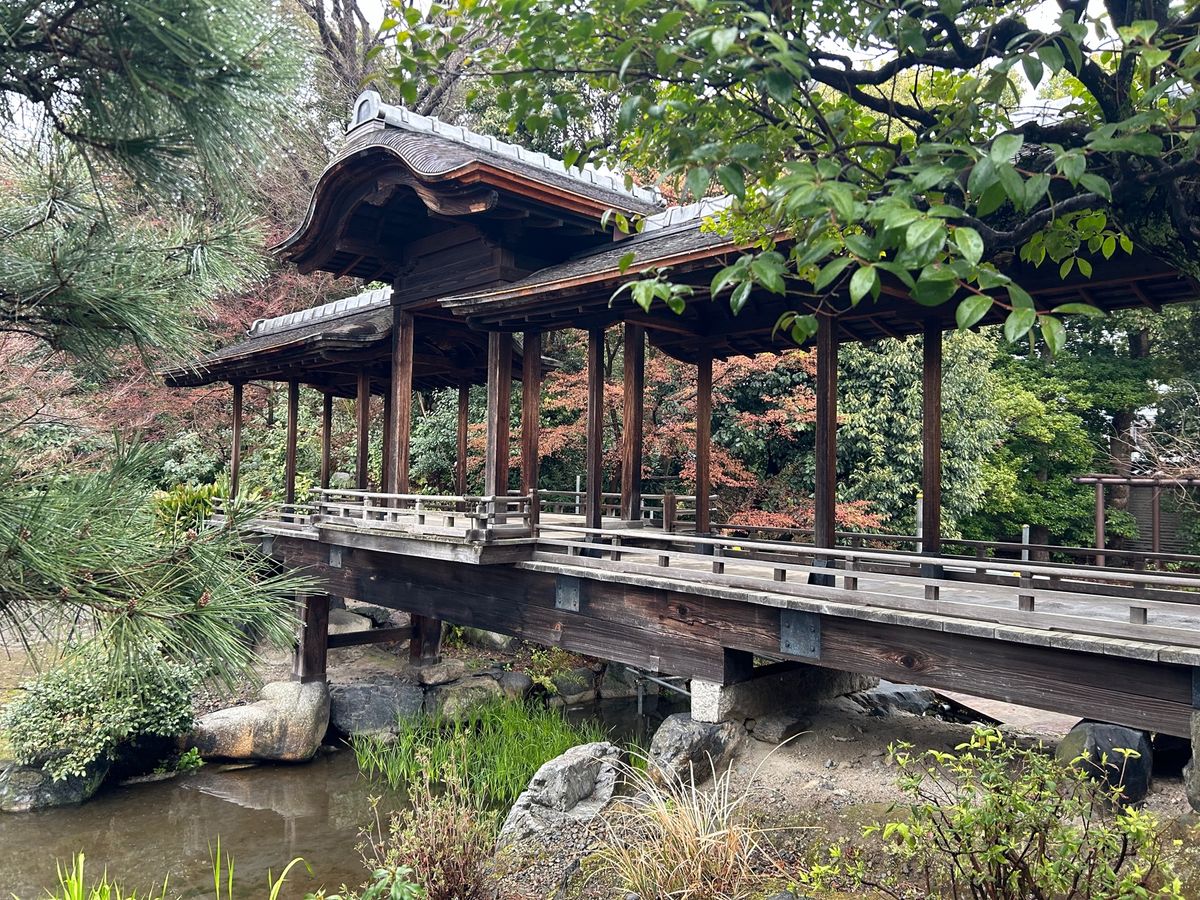 渉成園へ…とても素敵な庭園でした。
予報より気温が上がらず桜もつぼみでがっ...