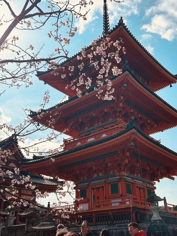 日本「京都ひとり旅」の写真