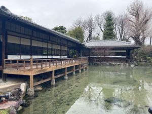 渉成園へ…とても素敵な庭園でした。
予報より気温が上がらず桜もつぼみでがっ...