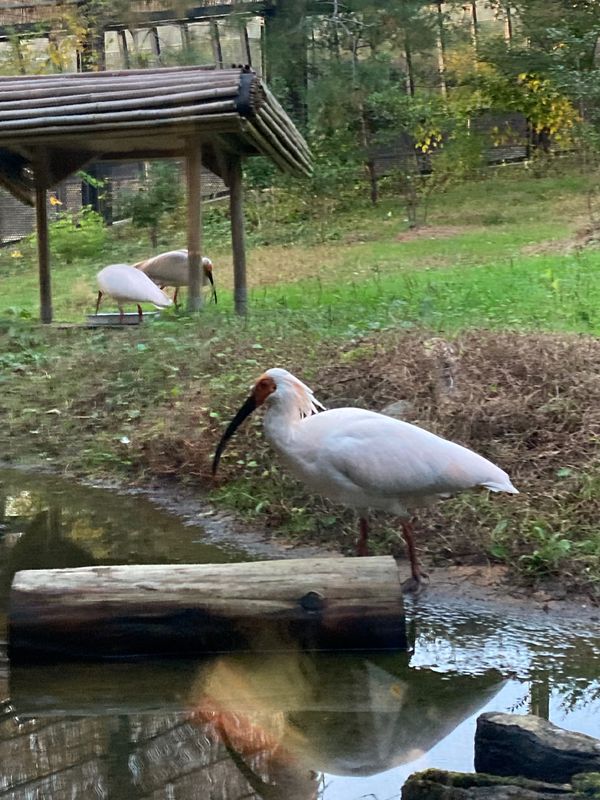 日本・新潟県「佐渡島」の写真