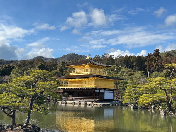 日本・京都府「京都旅行」の写真：・修学旅行以来の金閣寺
・新幹線から見え...